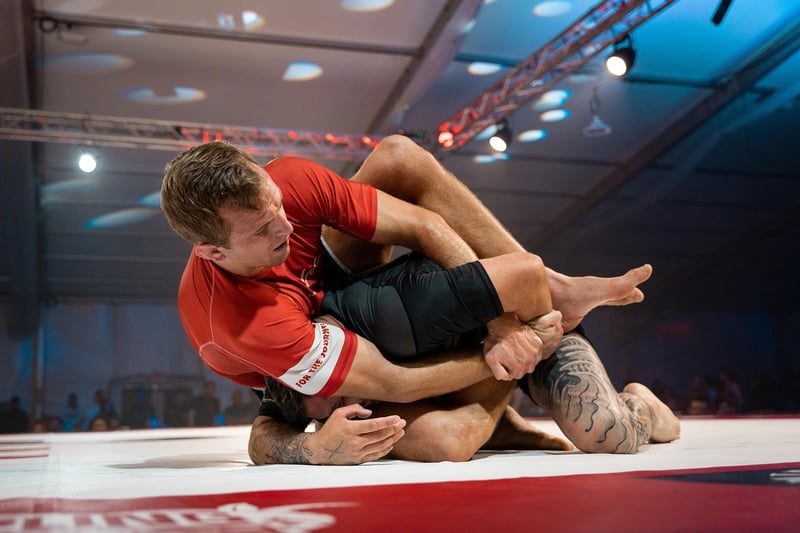 Jiu-Jitsu Techniques